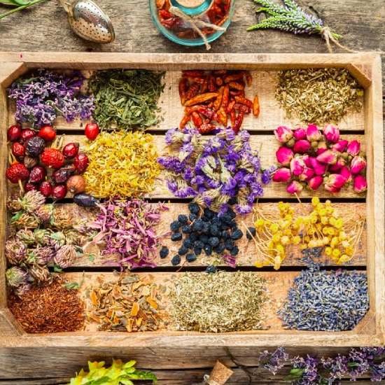 Holistic Nutritionist Glenwood Springs, CO Holistic Nutritionist Glenwood Springs, CO
