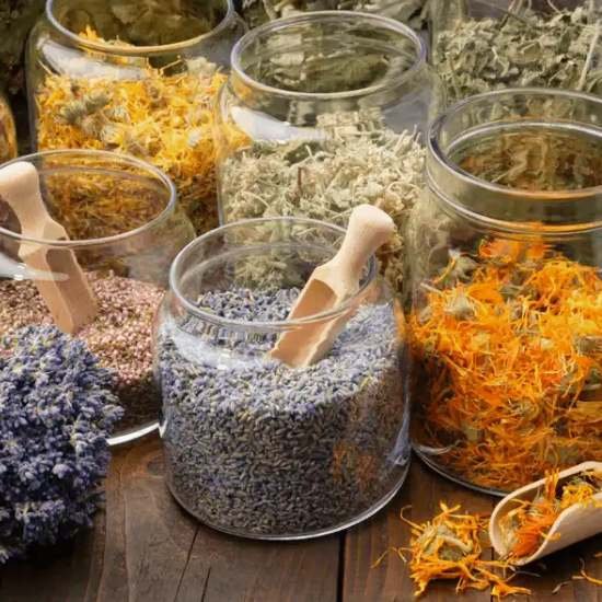 Holistic Nutritionist in Carbondale, CO Holistic Nutritionist in Carbondale, CO